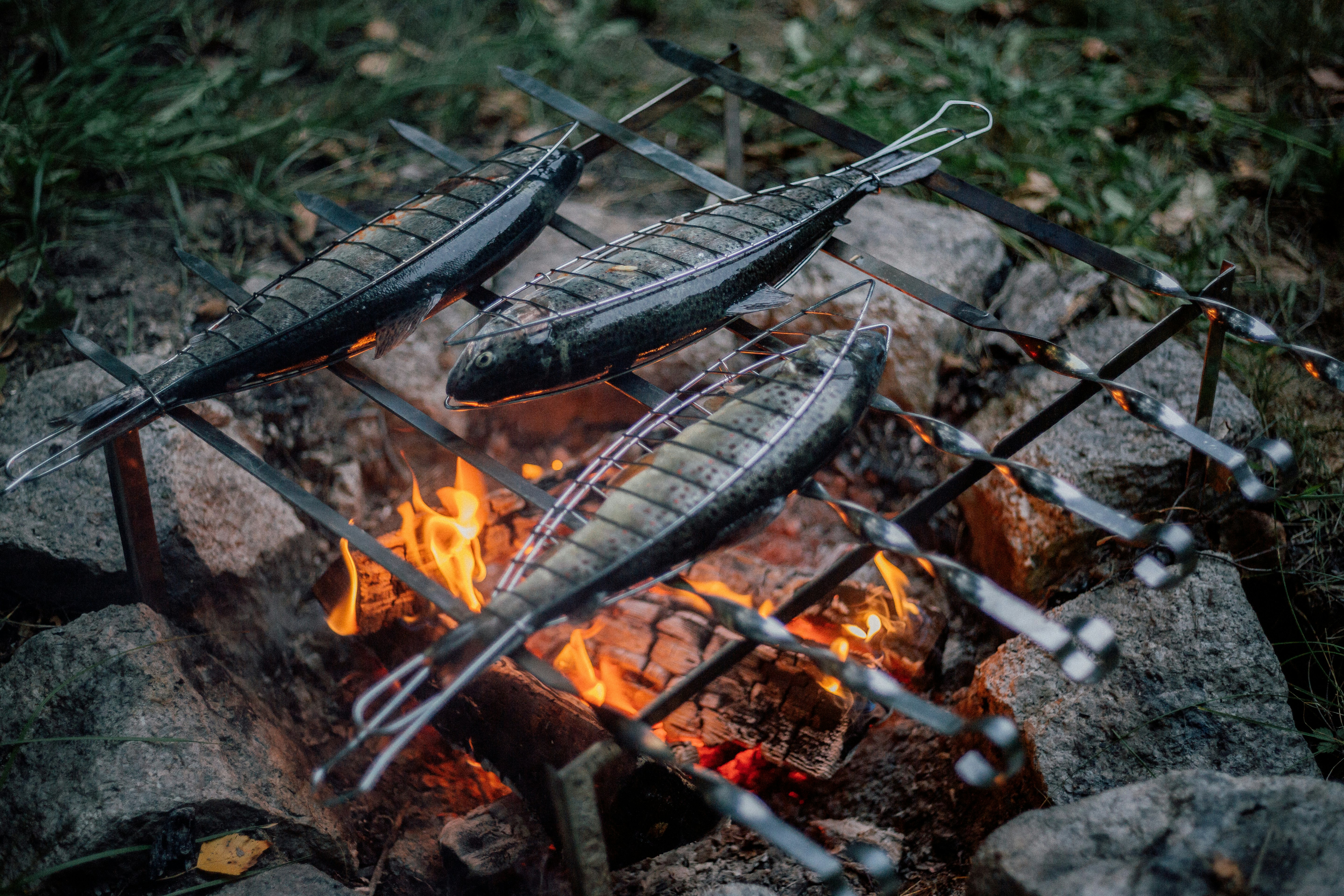 three gray fish on grill